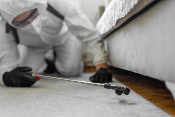 Professional Cockroach Control technician working in Enfield, NC