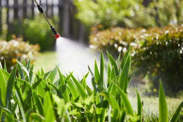 24/7 Emergency Cockroach Control experts in Enfield, NC