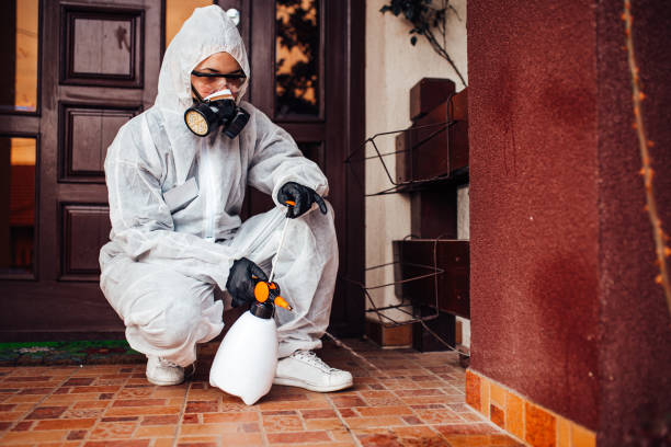 Reliable Cockroach Control contractor in Enfield, NC by Nex Pest Control